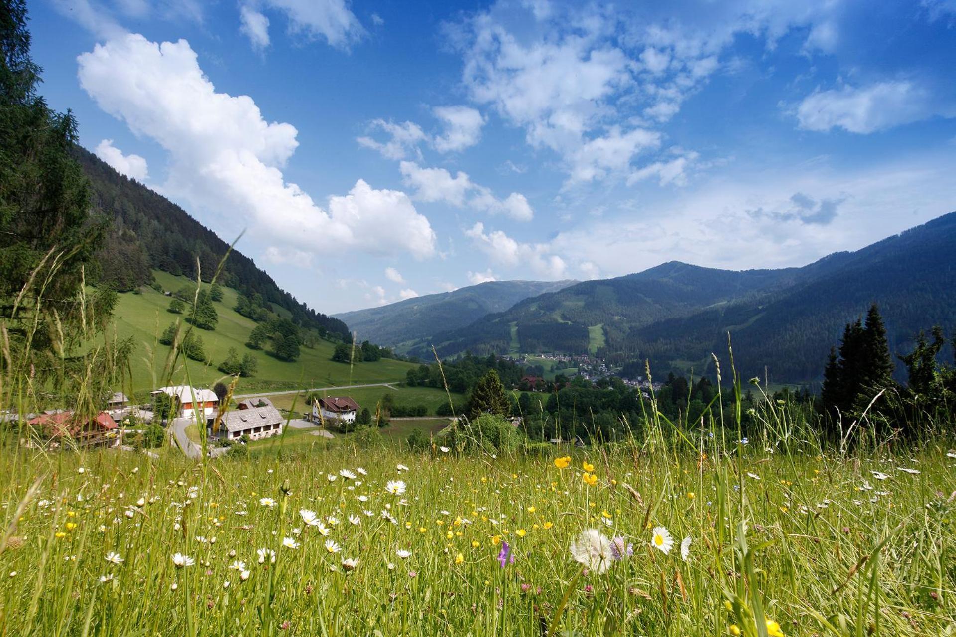 Pension&Appartements Ronacherhof Bad Kleinkirchheim Exterior foto